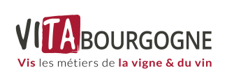 VITA Bourgogne : Vis Les Métiers De La Vigne & Du Vin | Guide Du ...